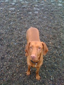 n674893419_2077146_1787